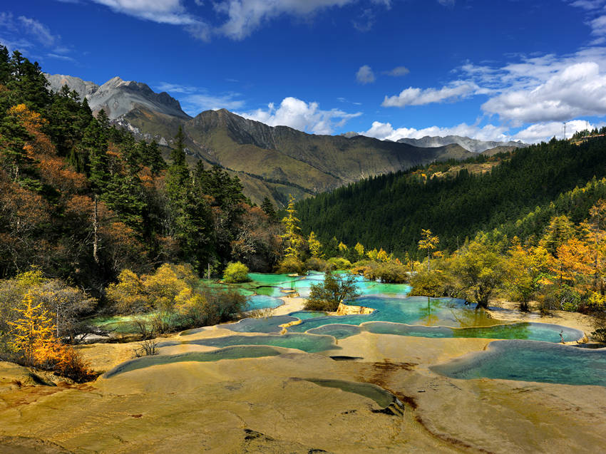 爭艷彩池。黃龍景區(qū)管理局供圖