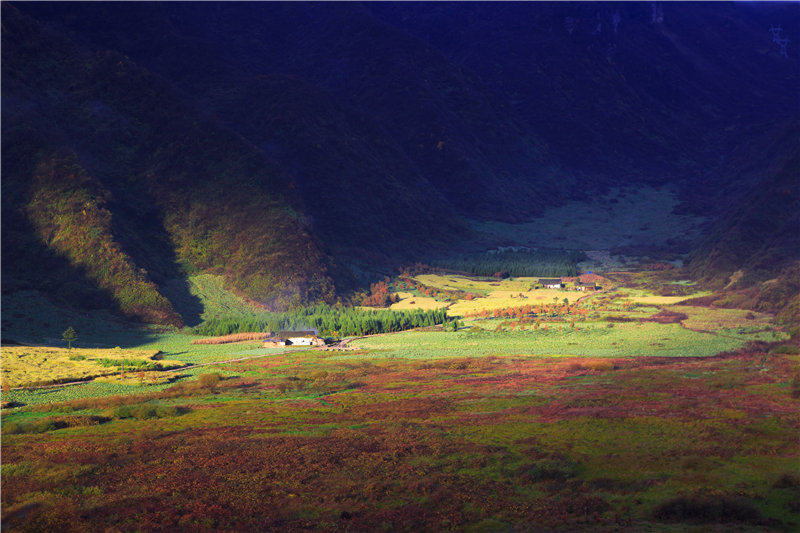 大瓦山國(guó)家濕地公園——高粱池。金口河區(qū)生態(tài)環(huán)境局供圖