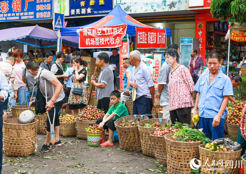 合江縣多家物流企業(yè)積極為消費者提供貼心服務(wù)，直接在各荔枝交易市場上設(shè)置服務(wù)網(wǎng)點，讓消費者享受到便捷高效的服務(wù)，較好地拓展了荔枝銷售途徑渠道。李貴平攝