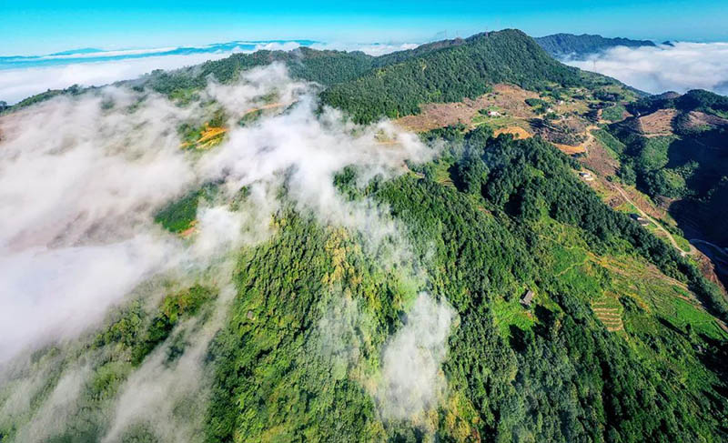 來復鎮(zhèn)雞爪山山頂。高縣縣委宣傳部供圖