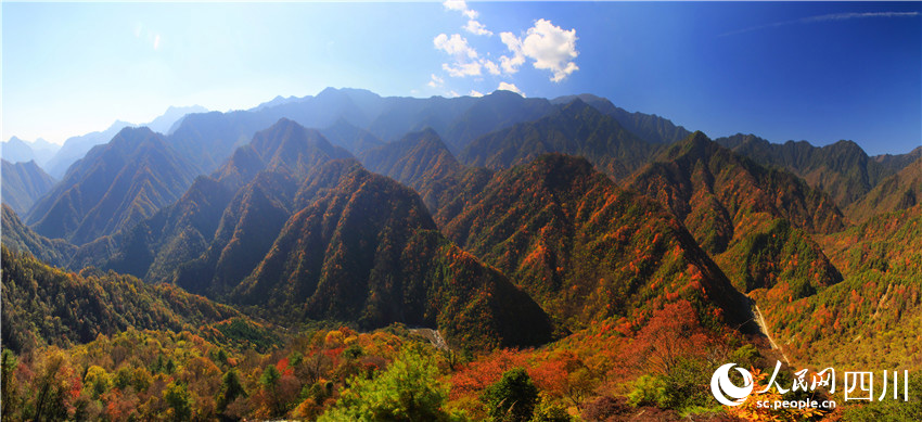 拈花一笑萬(wàn)山紅。王開(kāi)晉攝