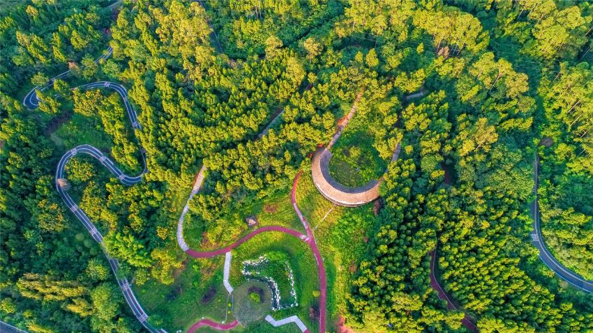 遂寧西山森林公園。遂寧市委宣傳部供圖