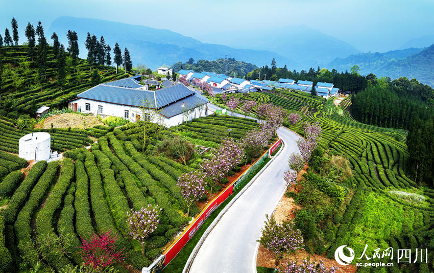 茶山春景圖。何為攝