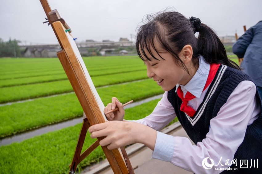 在老師指導(dǎo)下，學(xué)生們在秧田中寫生。翁光建攝