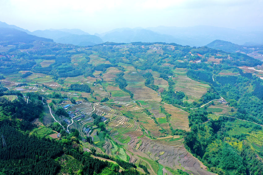 航拍筠連縣鎮(zhèn)舟鎮(zhèn)的“高坎梯田”。筠連縣融媒體中心供圖