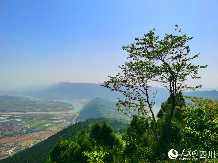 從古蜀道俯瞰山川風(fēng)景。人民網(wǎng)記者 劉海天攝