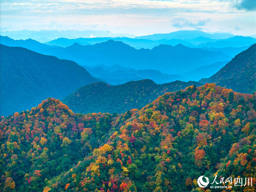 群巒疊嶂，紅葉滿山。胡宇攝