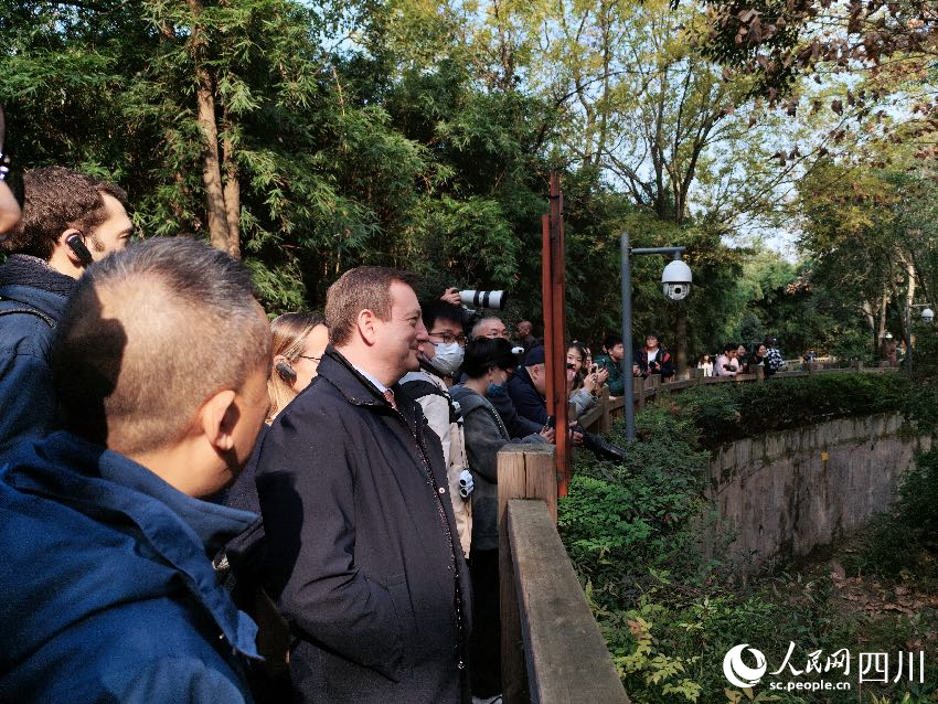 法國(guó)駐華大使白玉堂參訪成都大熊貓繁育研究基地，看望首只在法國(guó)出生的大熊貓幼崽“圓夢(mèng)”。人民網(wǎng)記者 朱虹攝