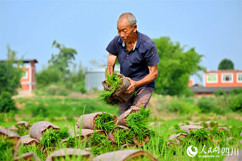 技藝傳承久，美食憶先賢。人民網(wǎng)記者 劉海天攝