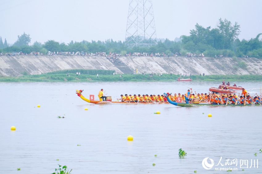 龍舟賽現(xiàn)場。人民網(wǎng) 趙祖樂攝