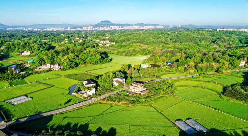 川渝共建巴蜀魚米之鄉(xiāng)。合江縣委宣傳部供圖