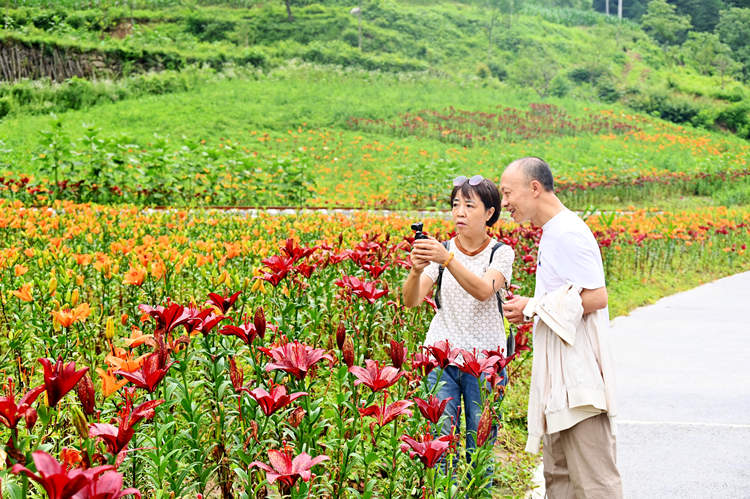 游客在吊灘河生態(tài)農(nóng)業(yè)觀光園賞花拍照。劉旭攝