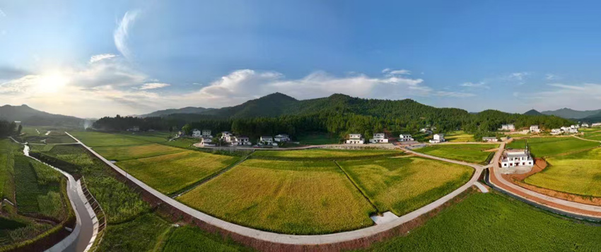 蓬安高標(biāo)準(zhǔn)農(nóng)田楊家基地。蓬安融媒體中心供圖