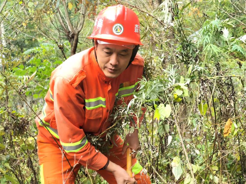 胡永華清理消防通道雜草。南江縣委宣傳部供圖