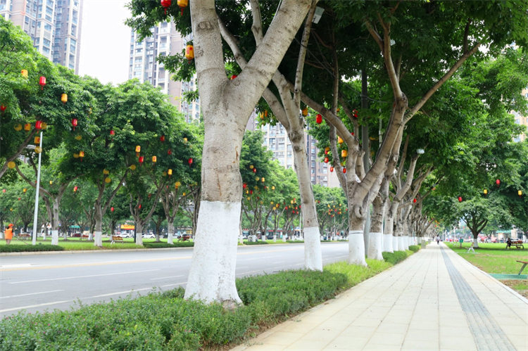 整治后的德陽珠江東路。蔡偉攝