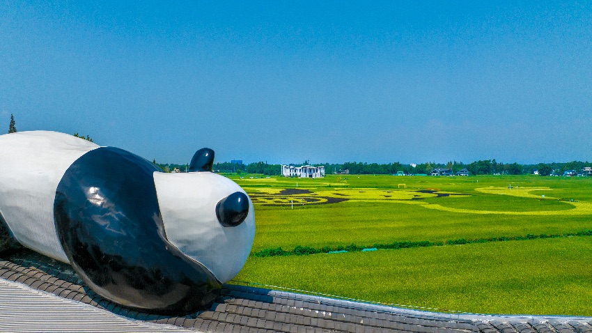 美麗的軍屯鎮(zhèn)天星村。新都區(qū)融媒體中心供圖