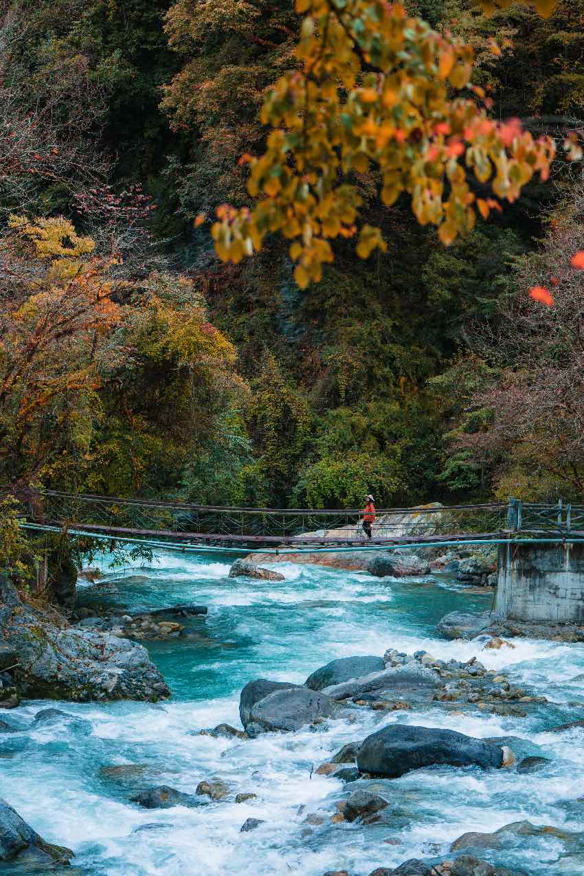 珙桐山居。二郎山喇叭河景區(qū)供圖