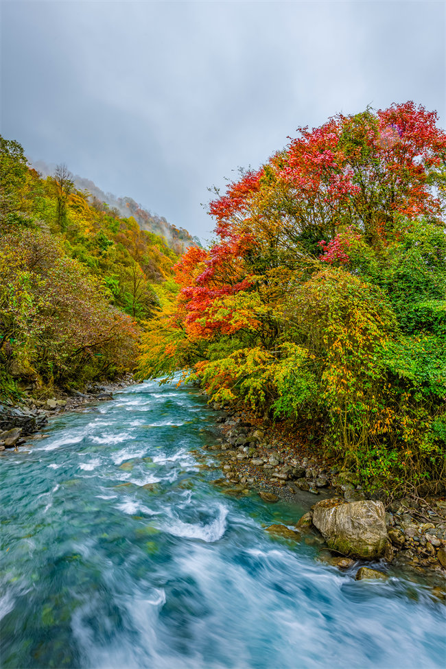 喇叭河秋景。二郎山喇叭河景區(qū)供圖